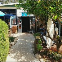 Entrance at Mi Casa - Glil Yam in Herzliya