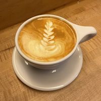   at Amateur Coffee in Omaha