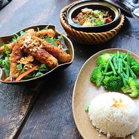 Spring rolls, rice, tofu at SORA - Vietnamese Vegan Cuisine in Berlin