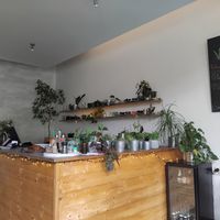 Pekne rastlinku vsade naokolo at Roots in Trencin