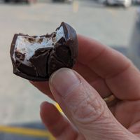 Carob coated vegan marshmallow at The Pines Health Foods in Elanora