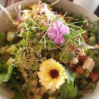  at Third Base Coffee in Palm Beach