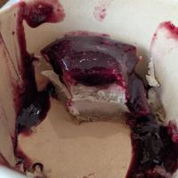 Inside of cheesecake with compote on top and crust on bottom, super delicious and creamy at Y'not Organic in Pismo Beach