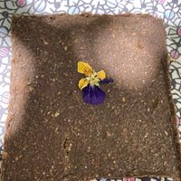 Raw cracker  at Turtle Lake Refuge in Durango