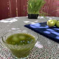 Green juice  at Turtle Lake Refuge in Durango