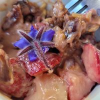  at Turtle Lake Refuge in Durango