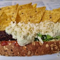 Wild dog Mexicano at El Limon in Tenerife