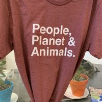 On sale! Love it. at Brightside Kitchen in Des Moines