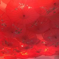 Umbrellas on the ceiling! at Foxy Luus in Byron Bay