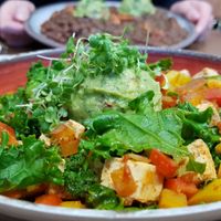Yasssssss texmex bowl at  PLANT GOSSIP - powered by OrVeganic Kitchen in Coeur D Alene