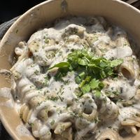 Alfredo. V/GF/Delicious!  at  PLANT GOSSIP - powered by OrVeganic Kitchen in Coeur D Alene