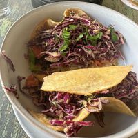 Guacamole Seed Cabbage Tacos with forbidden patty at  PLANT GOSSIP - powered by OrVeganic Kitchen in Coeur D Alene