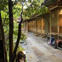   at Okutan Kiyomizu in Kyoto