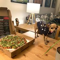 Barbecue Chik'n Pizza at The Thyme Pizzeria in Winnetka