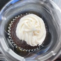 Free vegan cupcake🥰  at The Thyme Pizzeria in Winnetka