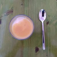 Postre: Crema de yogur casero con ciruela amarilla at Gaia in Burgos