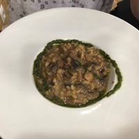 Main at Gaia in Burgos