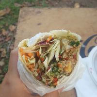 Wrap with falafel, hummus and salad. at Lucky Cow in Darwin