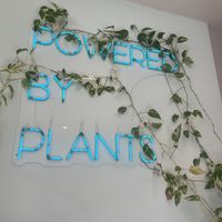   at Dicki's in New Farm