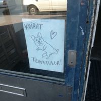 Dogs allowed at Verso in Helsinki