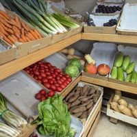 Fresh produce at La Despensa Ecológica in Sevilla