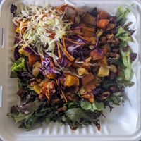  at Frontier Cafe and Bar in Haast