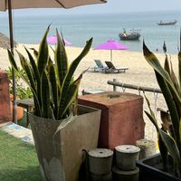   at The Fisherman Vegan Restaurant   in Hoi An