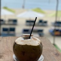 Fresh coconut - The Fisherman Vegan Restaurant, An Bang Beach, Hoi An  at The Fisherman Vegan Restaurant   in Hoi An
