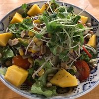 super fresh ingredients and perfect combo salad   at The Fisherman Vegan Restaurant   in Hoi An