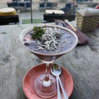 Chocolate mouse (more like a sorbet)  at The Fisherman Vegan Restaurant   in Hoi An