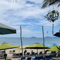  at The Fisherman Vegan Restaurant   in Hoi An