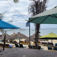  at The Fisherman Vegan Restaurant   in Hoi An