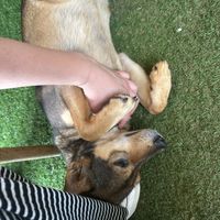   at The Fisherman Vegan Restaurant   in Hoi An