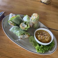 Fresh spring rolls at The Fisherman Vegan Restaurant   in Hoi An