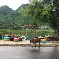   at Phong Nha Vegan in Phong Nha