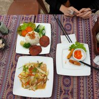 Spring rolls were great and are already almost finished... at Phong Nha Vegan in Phong Nha