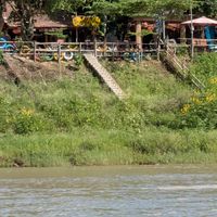  at Phong Nha Vegan in Phong Nha