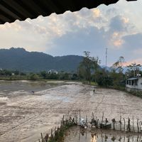 Area nearby…can walk to restaurant   at Phong Nha Vegan in Phong Nha