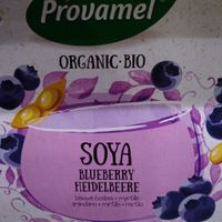 Vegan joghurt at Vegetaria in Bari