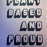   at RoseHip Vegan Kebabs in Vilnius