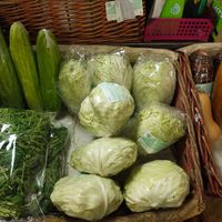 Organic veggies at Quan Fa Organic 全发有机农场 in Northeast Singapore