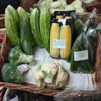 Organic veggies at Quan Fa Organic 全发有机农场 in Northeast Singapore