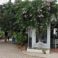 Eingang at La Paloma in Ibiza