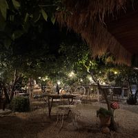   at La Paloma in Ibiza