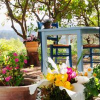 la paloma is very cozy at La Paloma in Ibiza