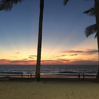 Sunset  at Coconut Garden in Phuket