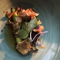   at O Bar and Dining in Sydney