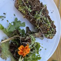 Avocado toast with mushrooms from the upstate’s cafe - very good   at Great Basin Community Food Co-op in Reno