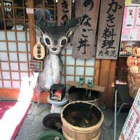 Very cute place at Flowers - Tachibana in Hiroshima