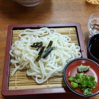Vegan cold udon with dipping sauce (and sake!) at Flowers - Tachibana in Hiroshima